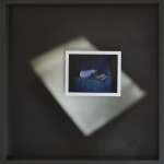 Sarah Mei Herman, Hypnagogia #4, 2016, Polaroid and inkjet color print on platine fibre rag, 30 x 30 cm, unique 
