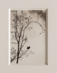 Hans Bol, Untitled 2020-I, negative 2020, print 2021, from the series 'White Crow' | Platinum-palladium print, framed in passepartout w/ museum glass | Image 10 x 15 cm, frame 39,5 x 34 cm | Ed. 3 + 1 AP