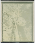 Margaret Lansink, mother nature VII, 2019, from the series body maps | Analogue photography, polaroid | Framed | image size 11.5 x 9 cm, frame size 31 x 25 cm | Unique