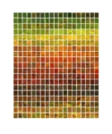 Anne Geene, Colour Analysis, Samples from Quinta da Penalva Garden, 2021 | C-Print on archival matte, inkjet, framed in oakwood frame with museum glass | 100 x 120 cm | Ed. 8 + 1 AP