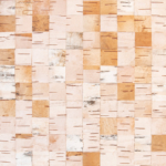 Milah van Zuilen, Betula spp., Joutsa, Suomi 05, 2022, from the series Fieldwork | Birch bark, museum board | 25 x 25 cm | Unique
