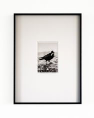 Limited Edition, On the beauty of imperfection and coincidence II, example framed view
