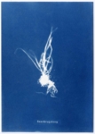 Anne Geene, Baanbrugsteeg, 2023 | Cyanotype | 21 x 15 cm | Edition of 2 (each work is unique)